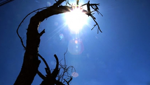 Aún no llega el periodo seco y ya se registran incendios forestales