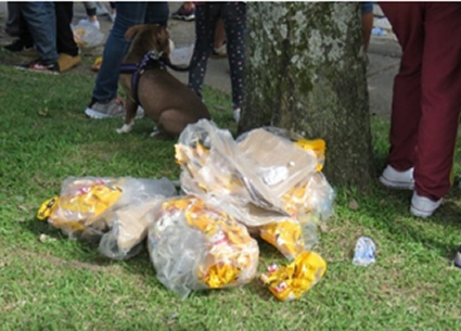 Que los recursos naturales también disfruten de la época de fiestas