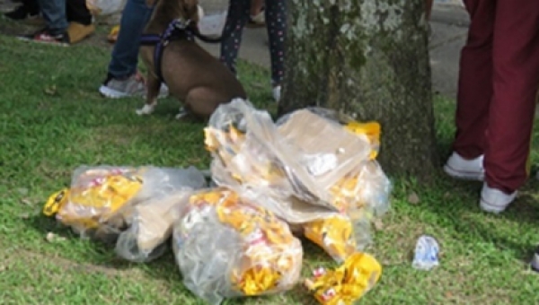 Que los recursos naturales también disfruten de la época de fiestas