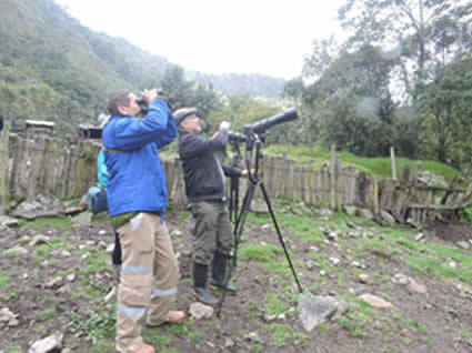 Todos listos en el Tolima para el Global Big Day este 5 de mayo