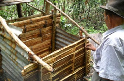 Resultados positivos de negocios verdes en el departamento