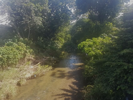 Energía solar, una alternativa para el saneamiento básico de Venadillo