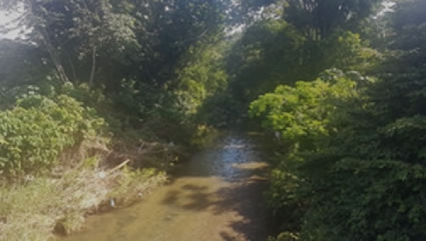 Energía solar, una alternativa para el saneamiento básico de Venadillo