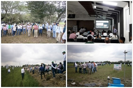 Los arroceros del Tolima también le apuestan a una producción más limpia