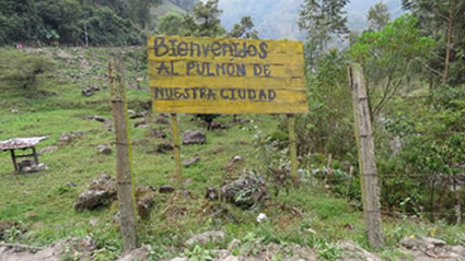 Inició la primera etapa de “censo” en el Cañón del Combeima