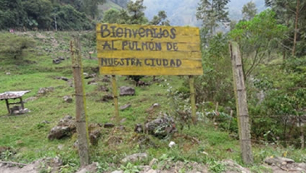 Inició la primera etapa de “censo” en el Cañón del Combeima