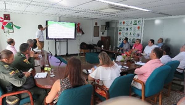 Ibagué ya sabe cuántos y en que estado están sus árboles