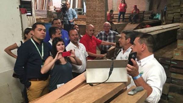 Gobernanza forestal del Tolima fue auditada exitosamente por la Unión Europea