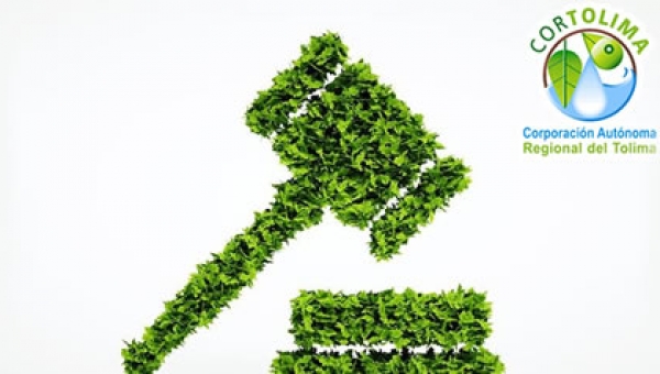 Sí es sorprendido atentando contra los recursos naturales. Esto le puede pasar