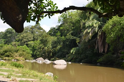 Piedras tercer municipio en realizar la revisión de su E.O.T