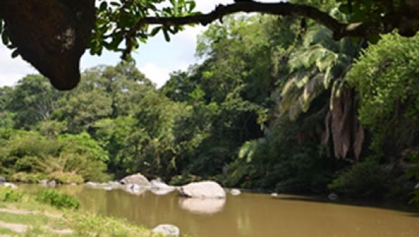 Piedras tercer municipio en realizar la revisión de su E.O.T