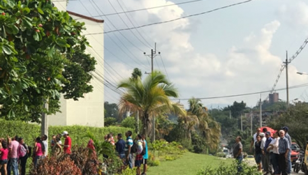 Otra víctima de fauna silvestre con un trágico final
