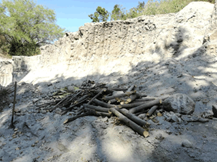 Autoridades incautan una retroexcavadora en operativo contra minería ilegal en Honda