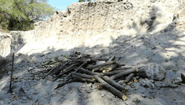 Autoridades incautan una retroexcavadora en operativo contra minería ilegal en Honda