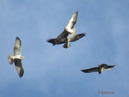 El cielo de Ibagué lució más imponente que nunca