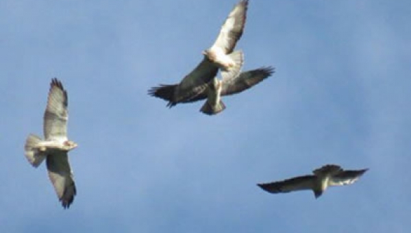El cielo de Ibagué lució más imponente que nunca