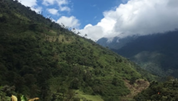 Preocupación de Cortolima por invasión de predio en el Parque Nacional Natural Las Hermosas