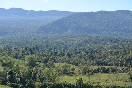 Mesa Ambiental Ciudadana sobre Conservación del “Bosque de Galilea”