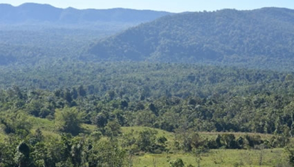 Mesa Ambiental Ciudadana sobre Conservación del “Bosque de Galilea”
