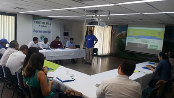 El Tolima ejemplo en la implementación de sancionatorios forestales a favor de la Gobernanza Forestal y protección de los Bosques