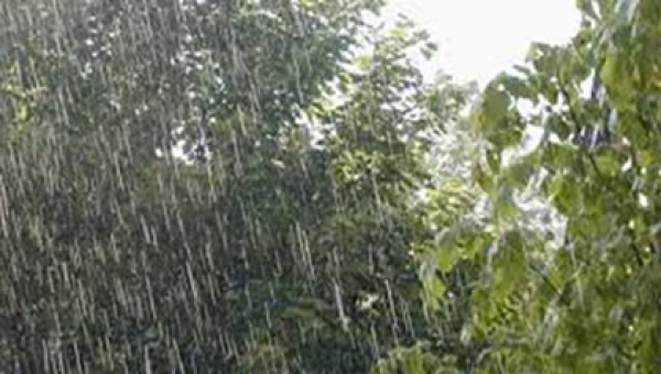 Prevenir es la lección aprendida para la segunda temporada de lluvias 2017