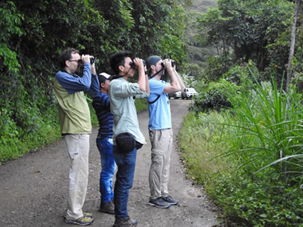 Con Alas fuertes voló la 3ra versión del Festival de Aves del Tolima