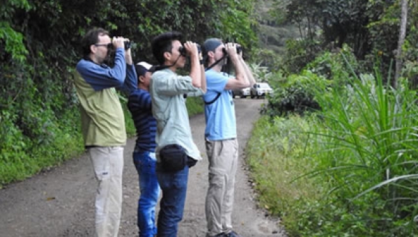 Con Alas fuertes voló la 3ra versión del Festival de Aves del Tolima