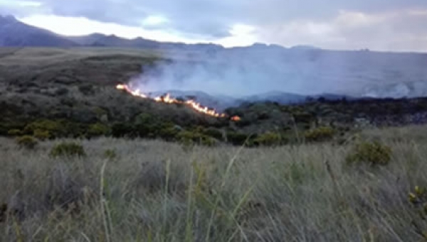 Controlado incendio forestal en zona de páramo de Murillo