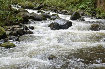 Día cívico por el río Combeima