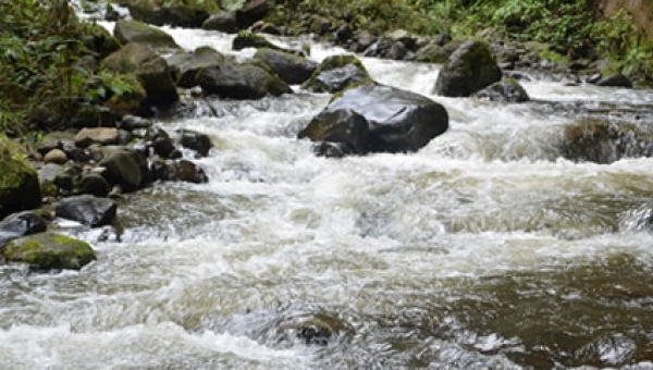 Día cívico por el río Combeima