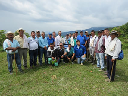 El bosque de Galilea no debe ser intervenido por ningún motivo