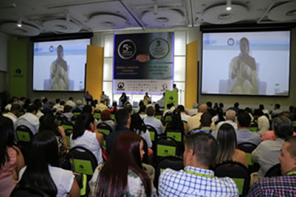 “Estamos tratando de construir una industria formal sostenible en el largo plazo”: minminas