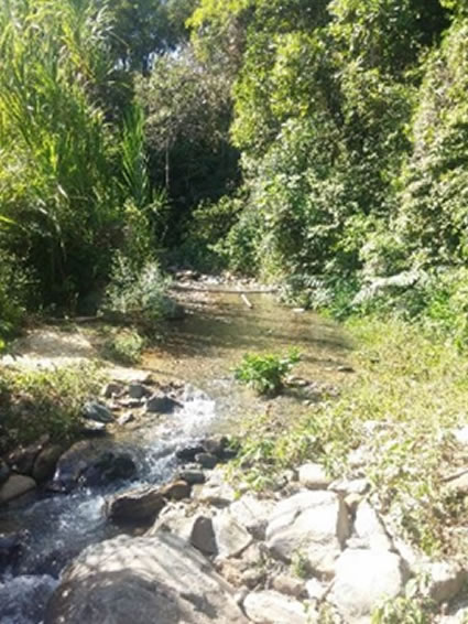 Plazo para el pago de tarifa de evaluación a usuarios del agua del río Venadillo y sus afluentes