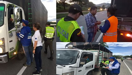 Autoridades Ambientales del país se unen contra el tráfico de madera ilegal