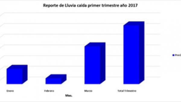 545,7 milímetros de lluvia se han registrado en el 1er trimestre sobre la zona de influencia de la estación CORTOLIMA en Ibagué