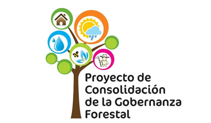En Florencia, se desarrollará el primer encuentro de intercambio de experiencias de Gobernanza Forestal con Autoridades Ambientales en Colombia