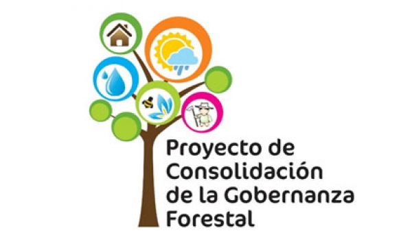 En Florencia, se desarrollará el primer encuentro de intercambio de experiencias de Gobernanza Forestal con Autoridades Ambientales en Colombia