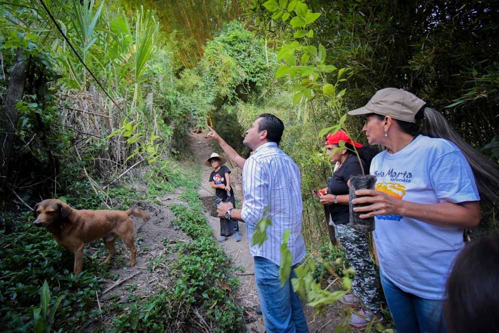 Cortolima realizó siembra en los cerros noroccidentales de Ibagué 