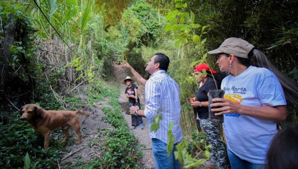 Cortolima realizó siembra en los cerros noroccidentales de Ibagué 