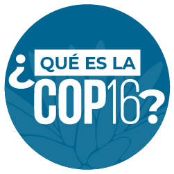 BOTONES COP 16 Mesa de trabajo 1