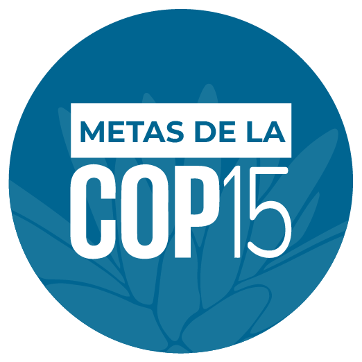 BOTONES COP 16 Mesa de trabajo 1 copia 2 2