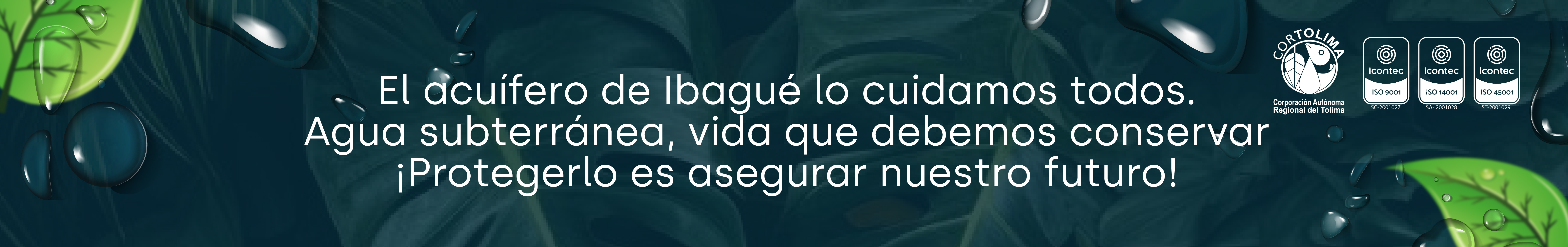 BANNER_WEB_CORTOLIMA_Mesa_de_trabajo_1