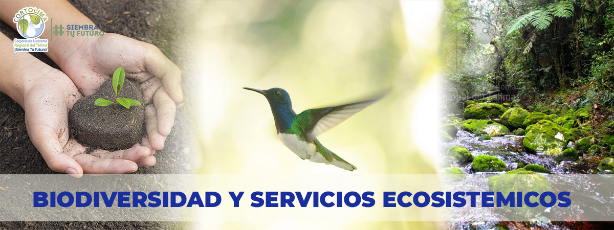 banner biodiversidad