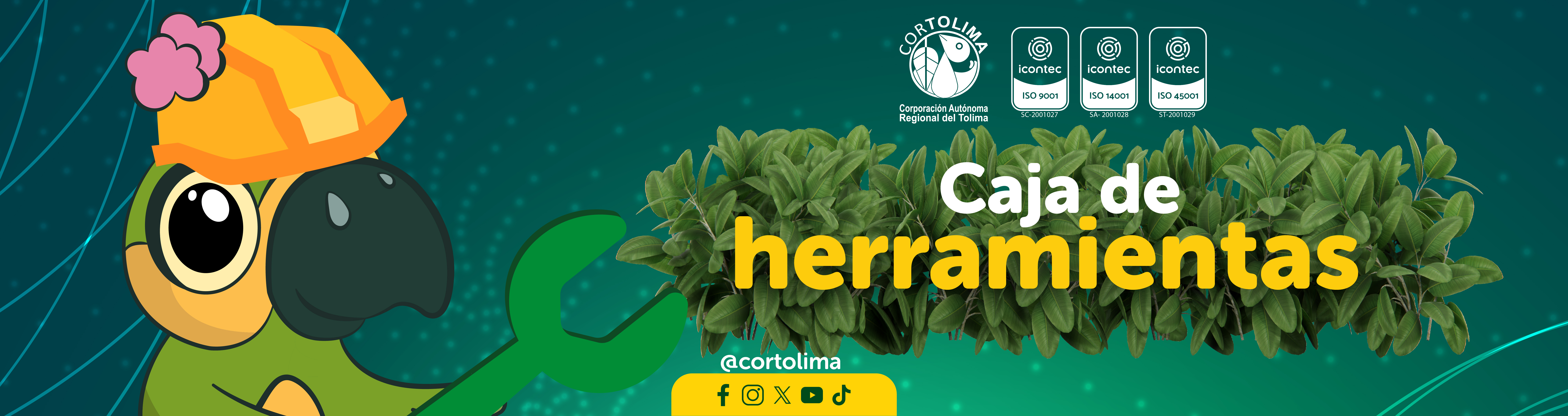CAJA DE HERRAMIENTAAS