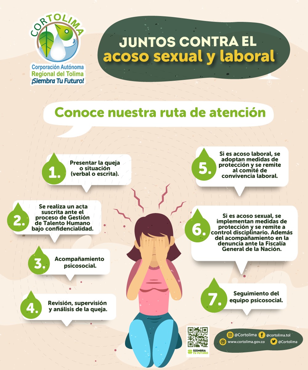 5. PIEZA GRAFICA DE LA RUTA DE ACOSO SEXUAL Y LABORAL