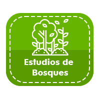 estudios bosques