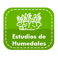 humedales
