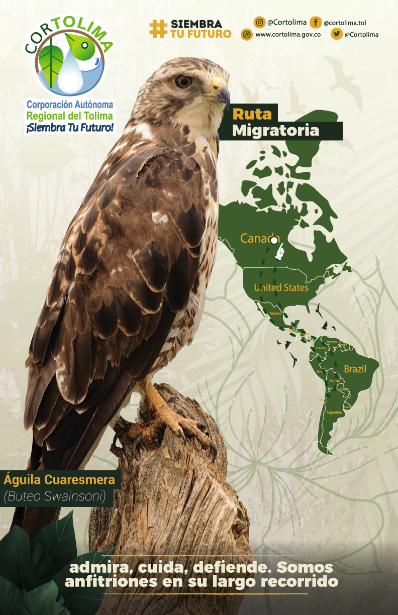 AFICHE AGUILA