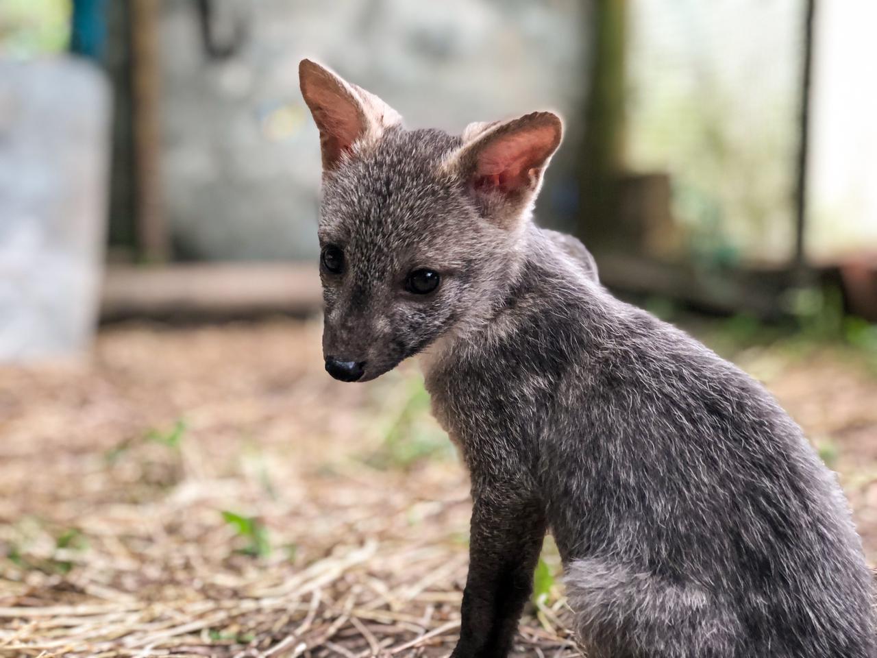 WhatsApp Image 2022 01 27 at 5.36.36 PM 1