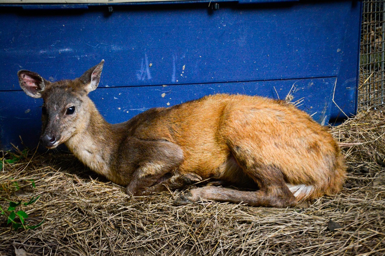 WhatsApp Image 2022 05 31 at 10.10.33 AM